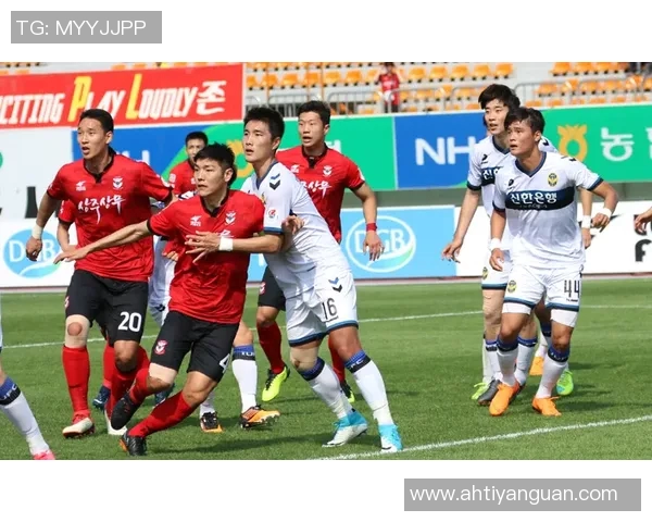 江苏舜天与尚州尚武队精彩对决全场录像回放分析与亮点解读