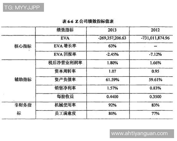 杭州羽毛球队在精英赛中的表现分析与状态评估