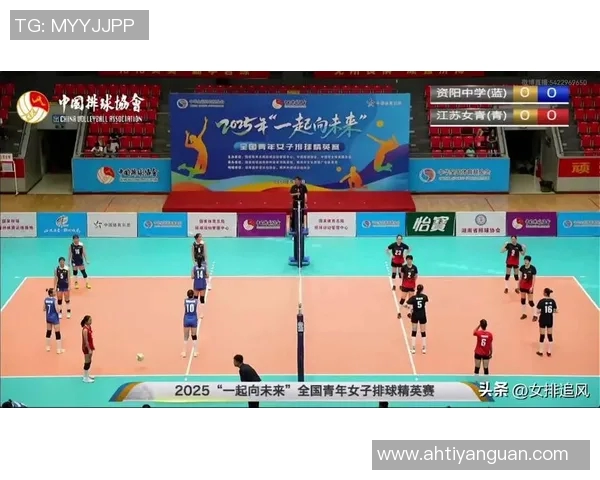杭州排球队技术分析与发展探讨聚焦排球运动的未来与挑战