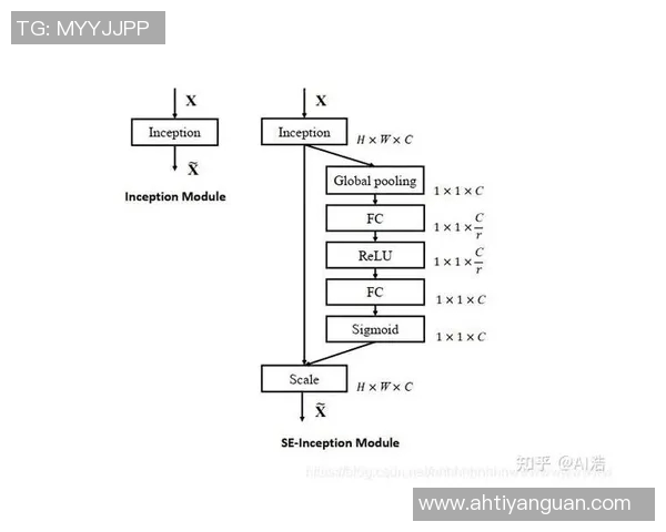 滑板战术解析：探秘北京滑板队的包夹战术体系与实战应用