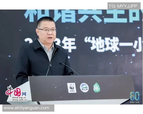 南京飞盘队运营分析:成功经验与面临挑战的全面探讨