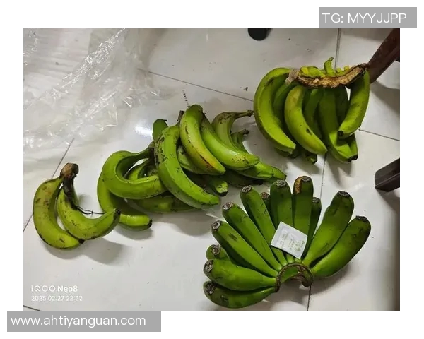 果蔬的健康奇迹:探索不同果蔬对身体的多重益处与食用方式