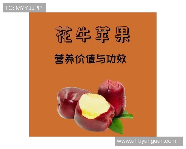 水果的营养价值与健康功效解析及如何巧妙搭配提升每日饮食质量