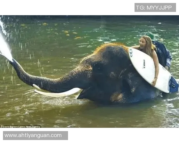 极限运动的挑战与激情周娜分享她的冒险人生与成长故事