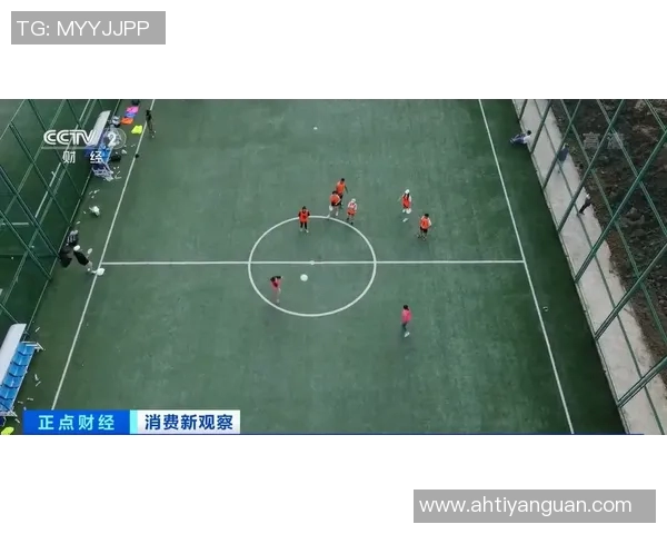 深圳飞盘队的战术分析与比赛表现评析