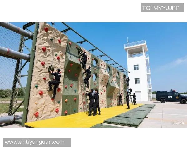 南京攀岩队的战术控制体系与攀岩技巧的深度融合探讨